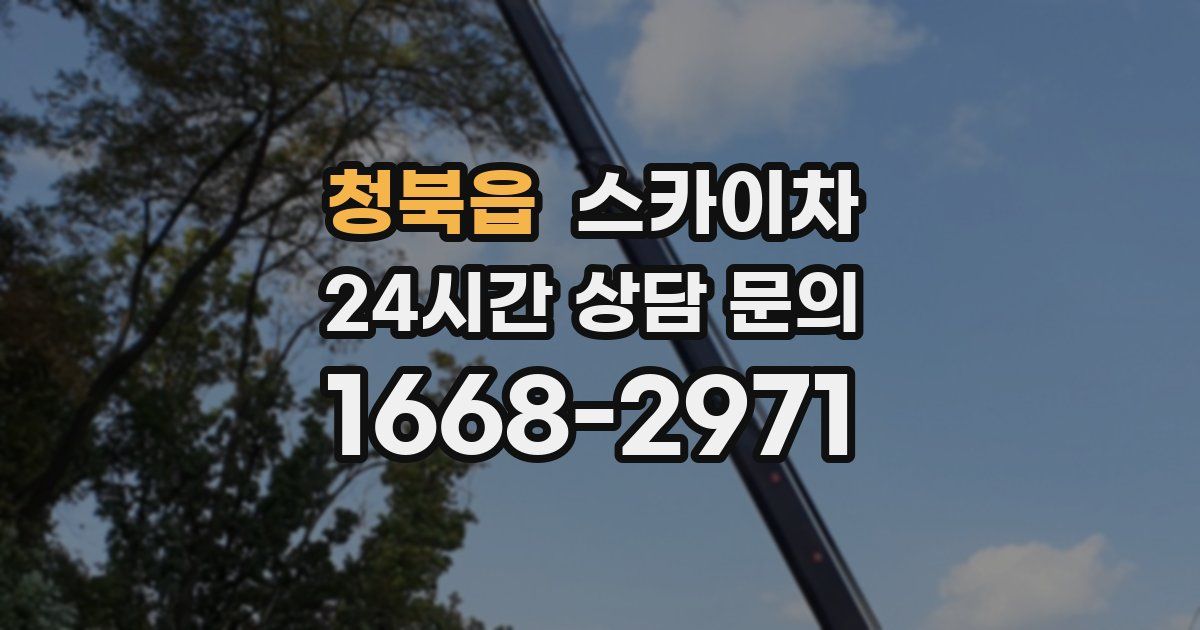 청북읍 스카이차