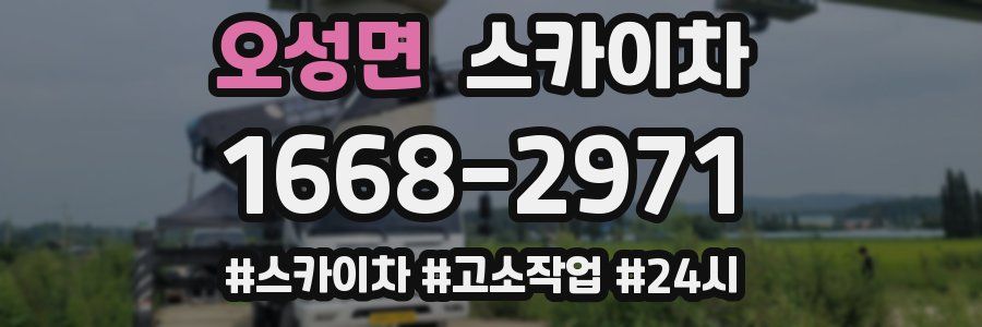 오성면 스카이차