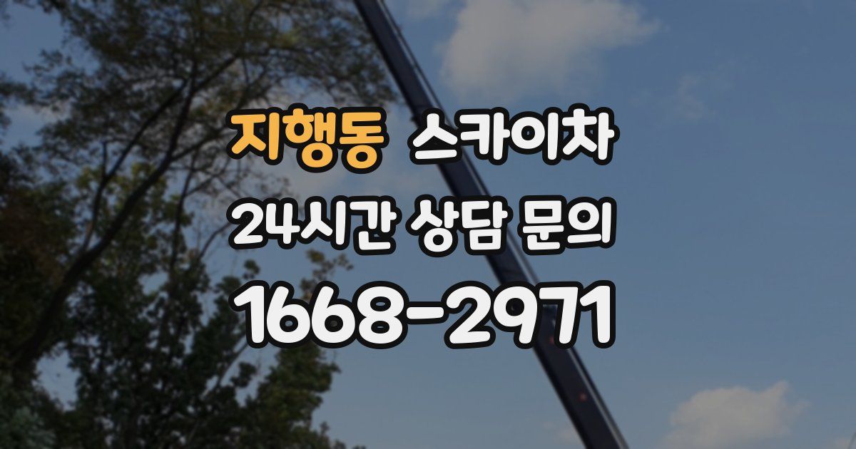 지행동 스카이차