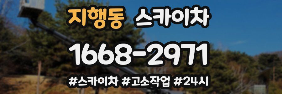 지행동 스카이차