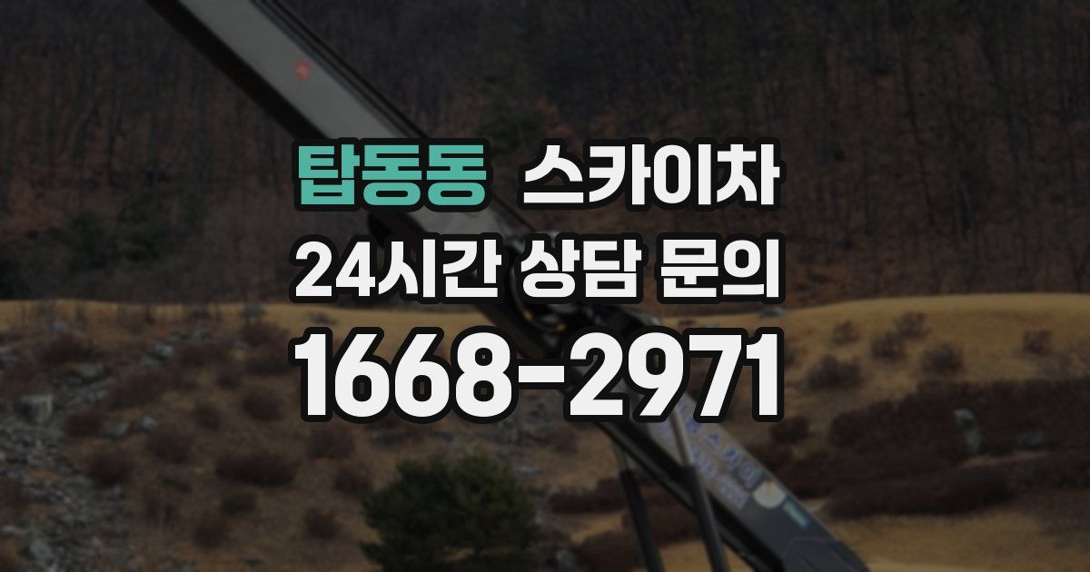 탑동동 스카이차