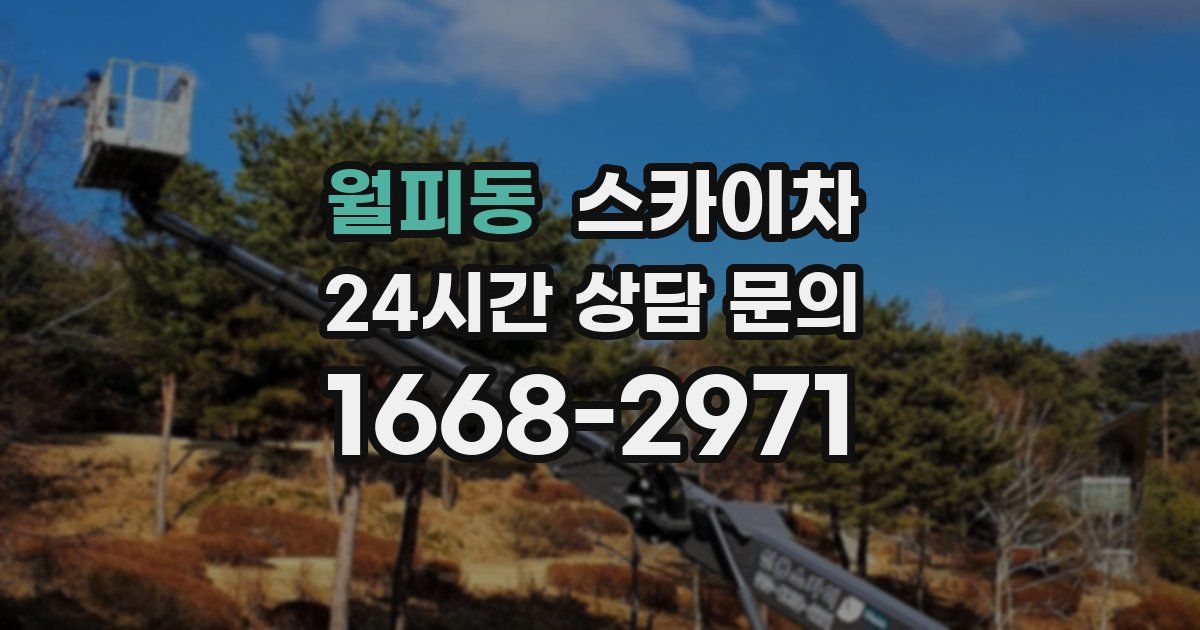 월피동 스카이차