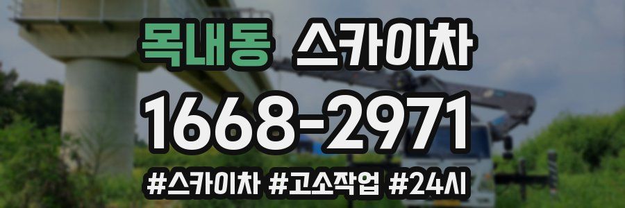 목내동 스카이차