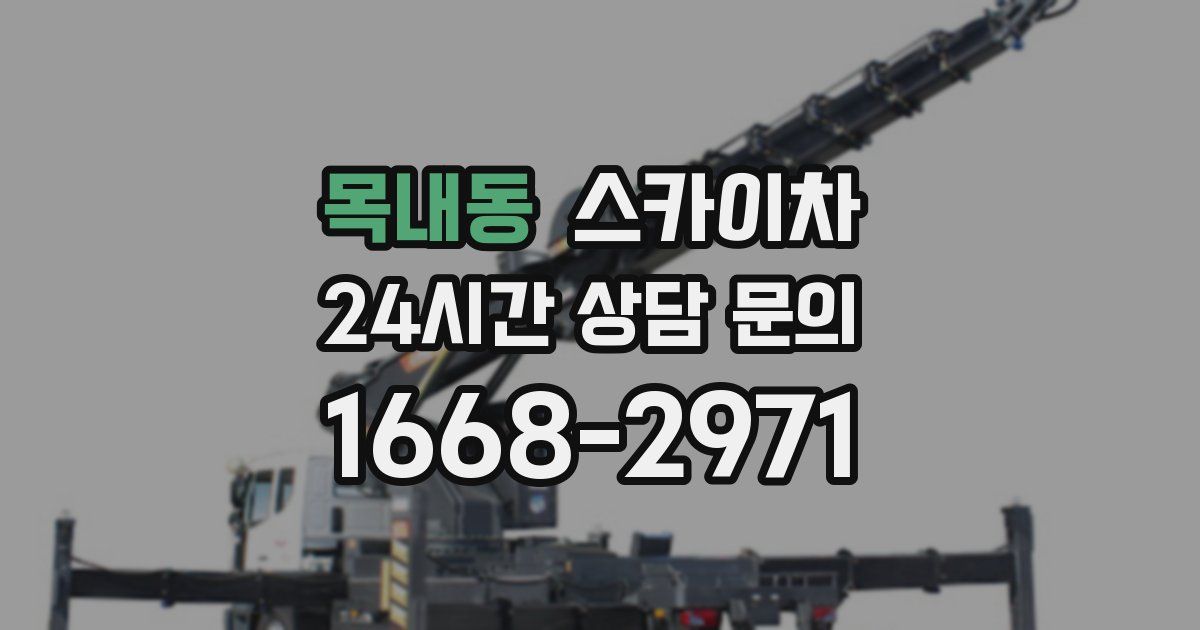 목내동 스카이차