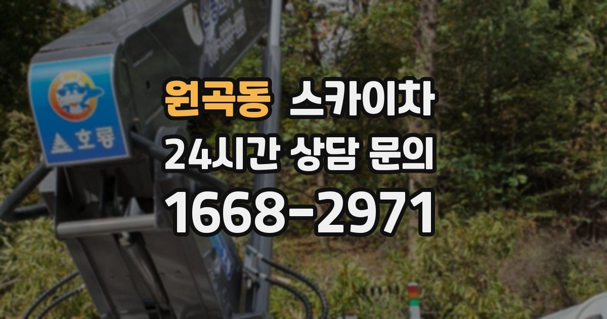 원곡동 스카이차