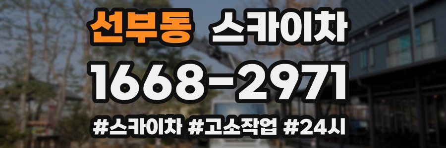 선부동 스카이차