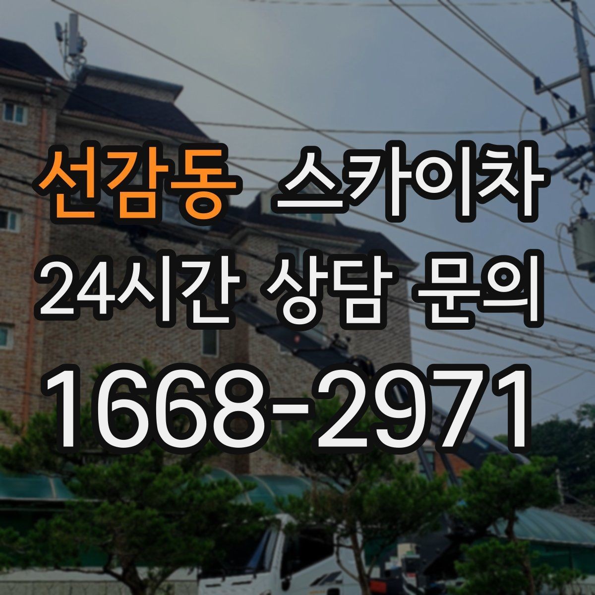선감동 스카이차 가로수 가지치기 작업 안전하게