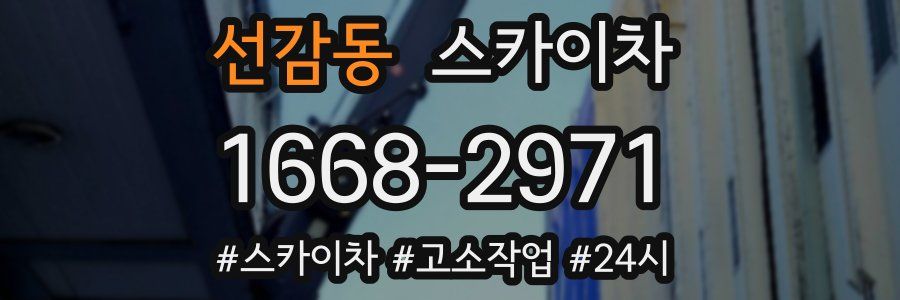 선감동 스카이차