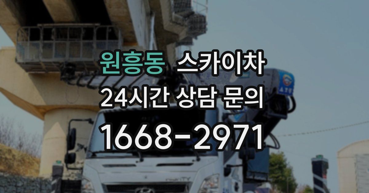 원흥동 스카이차