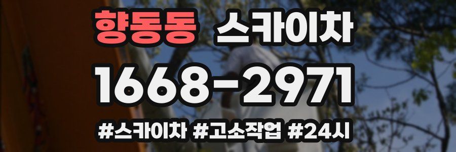 향동동 스카이차