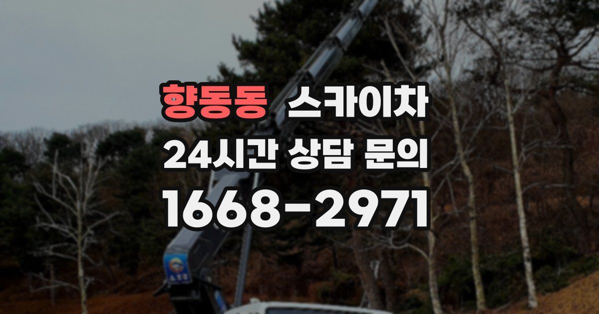 향동동 스카이차