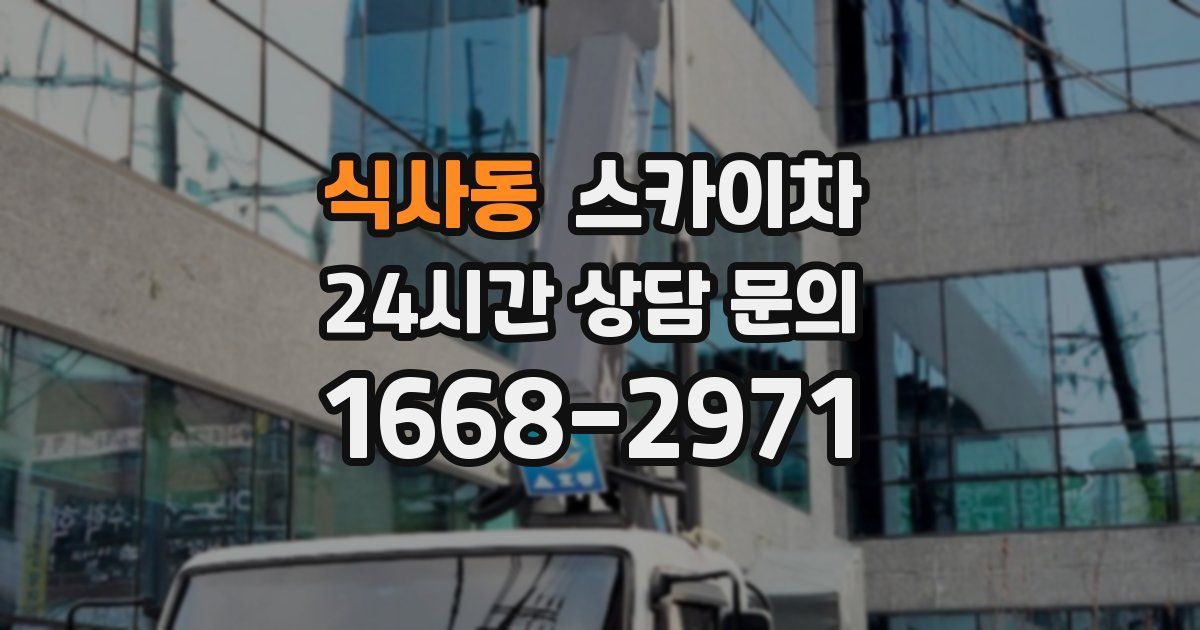 식사동 스카이차