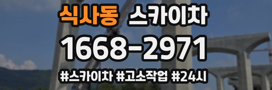 식사동 스카이차