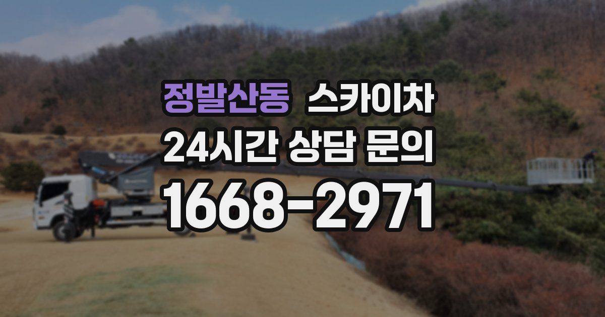 정발산동 스카이차