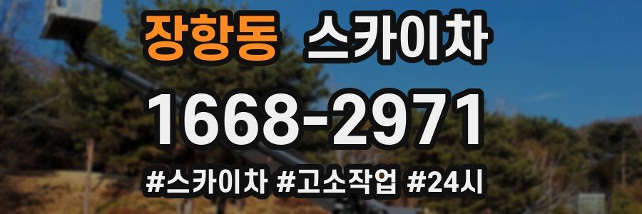 장항동 스카이차