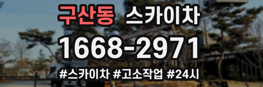 구산동 스카이차