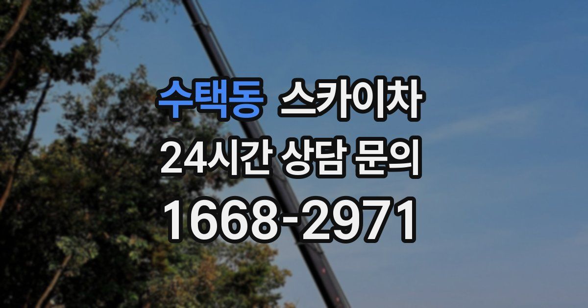 수택동 스카이차