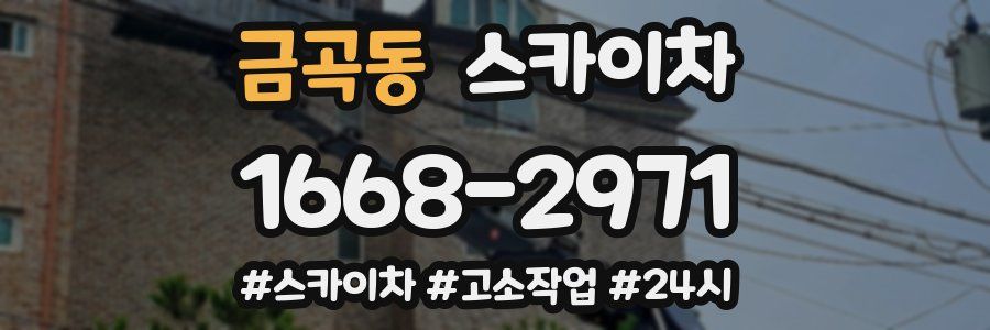 금곡동 스카이차