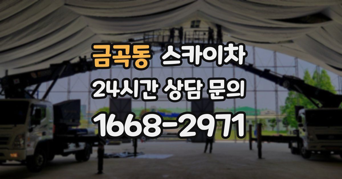 금곡동 스카이차