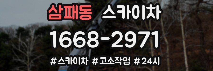 삼패동 스카이차