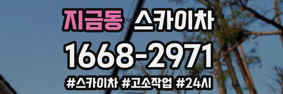 지금동 스카이차