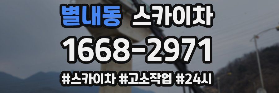 별내동 스카이차