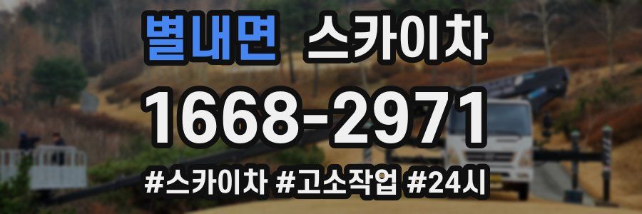 별내면 스카이차