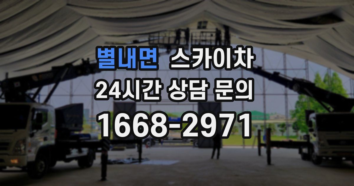 별내면 스카이차