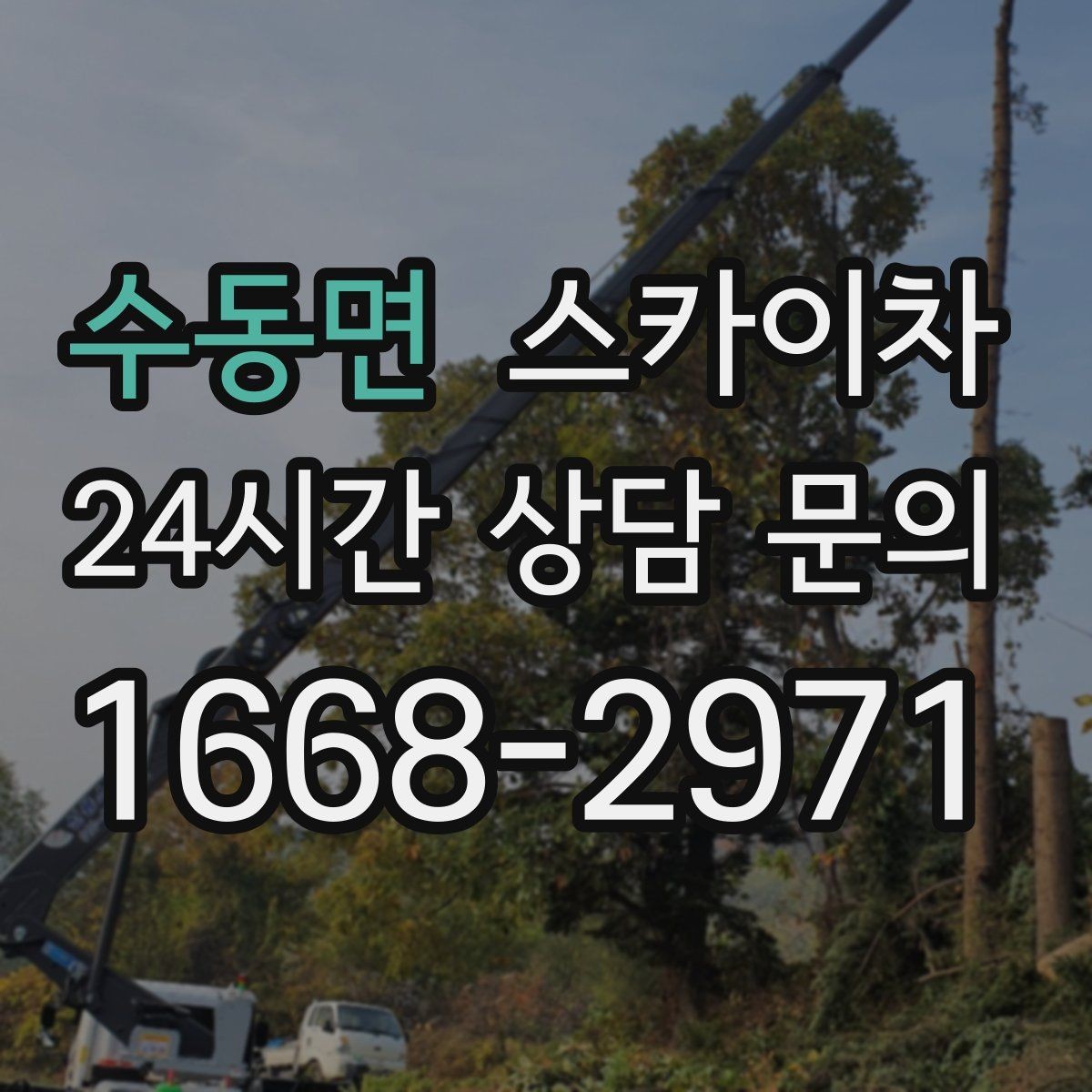 수동면 스카이차 외벽 균열을 방치하면 생기는 문제