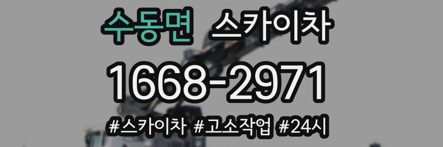 수동면 스카이차