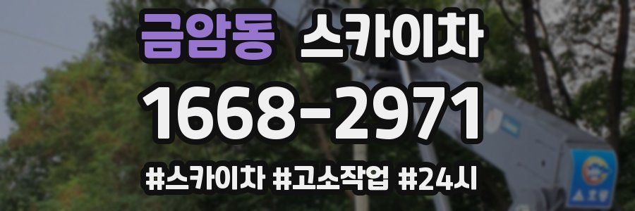 금암동 스카이차