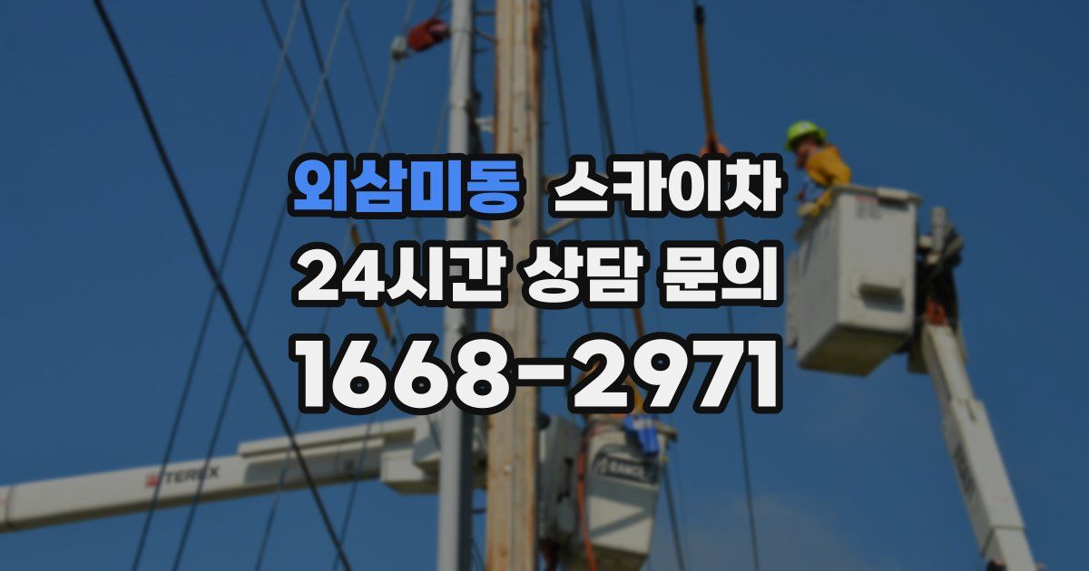 외삼미동 스카이차