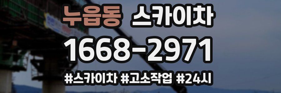 누읍동 스카이차