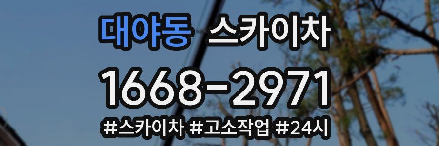 대야동 스카이차