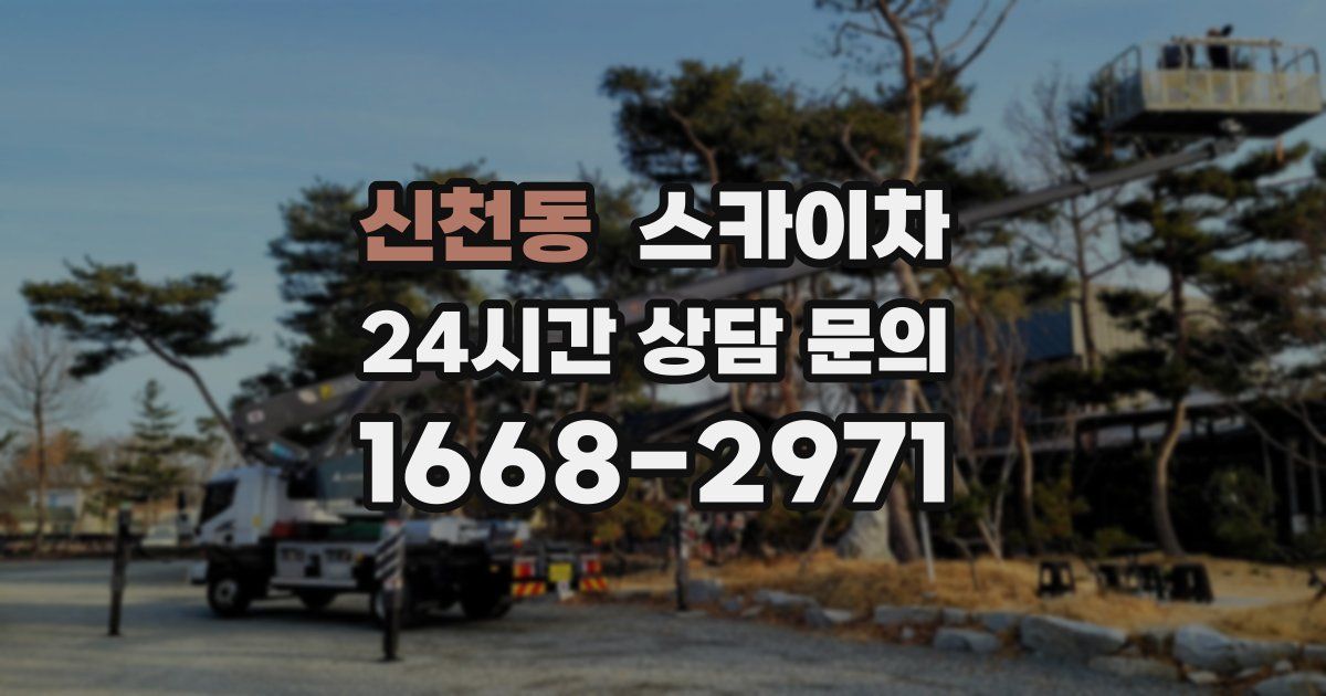 신천동 스카이차