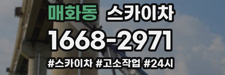 매화동 스카이차