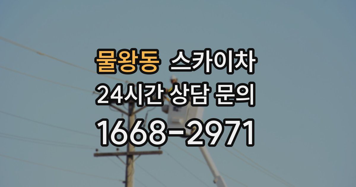 물왕동 스카이차