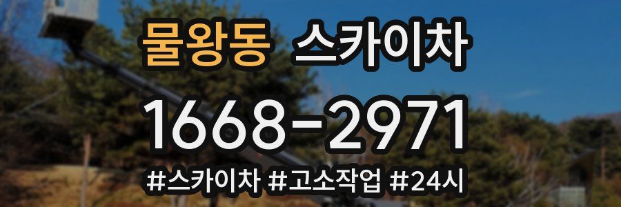 물왕동 스카이차