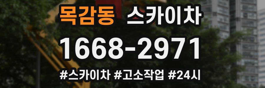 목감동 스카이차