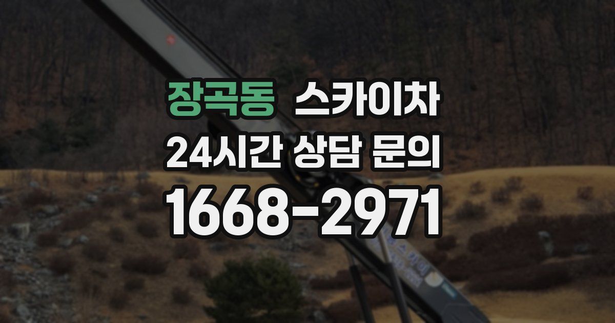 장곡동 스카이차