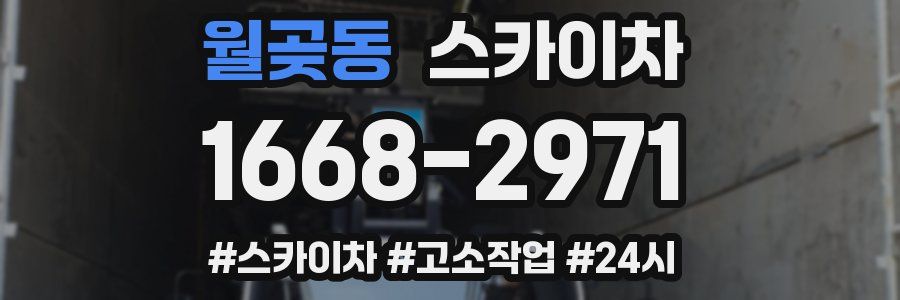 월곶동 스카이차