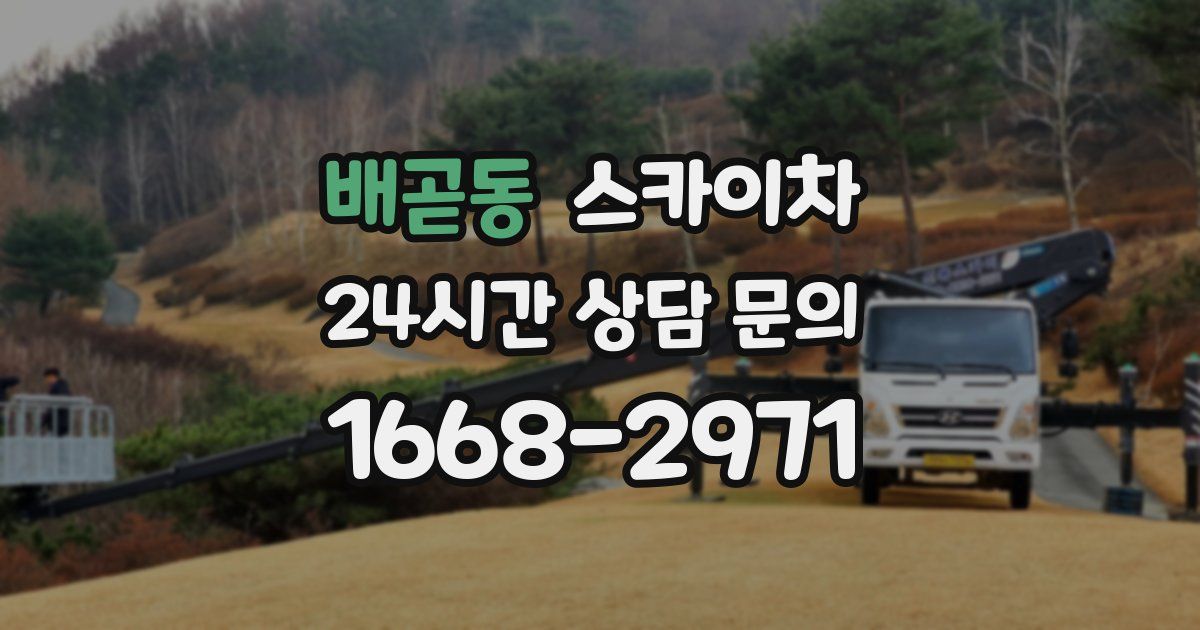 배곧동 스카이차