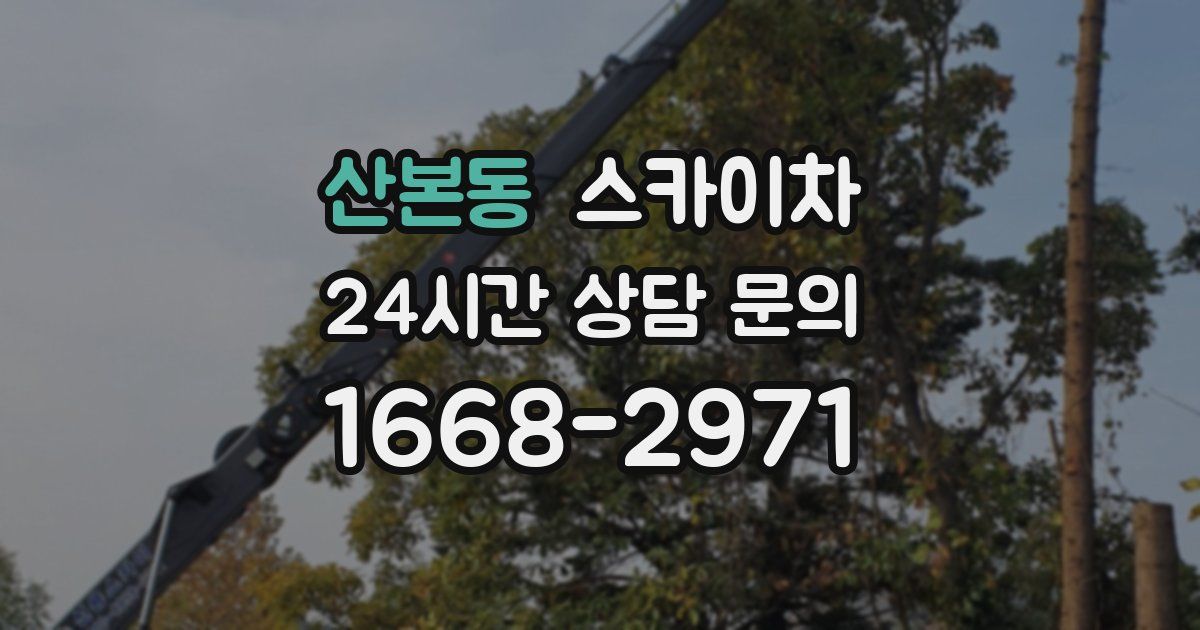 산본동 스카이차
