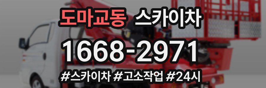 도마교동 스카이차