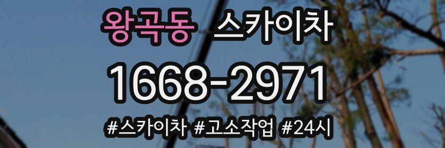 왕곡동 스카이차