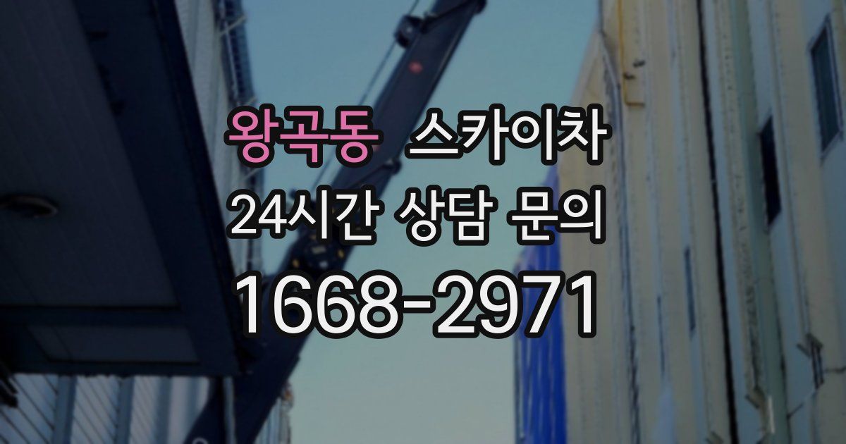 왕곡동 스카이차