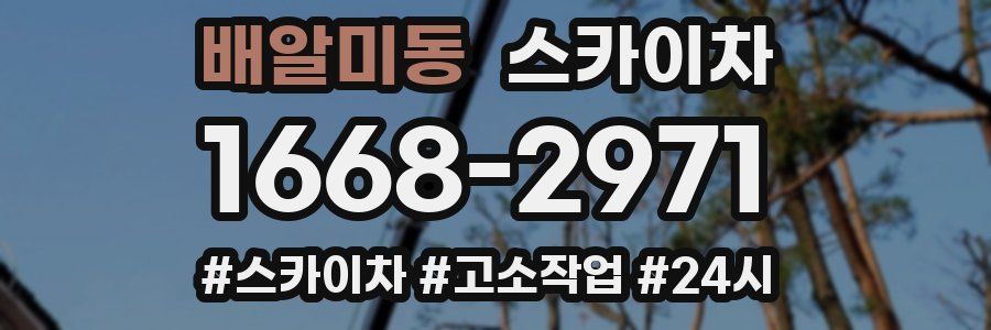 배알미동 스카이차