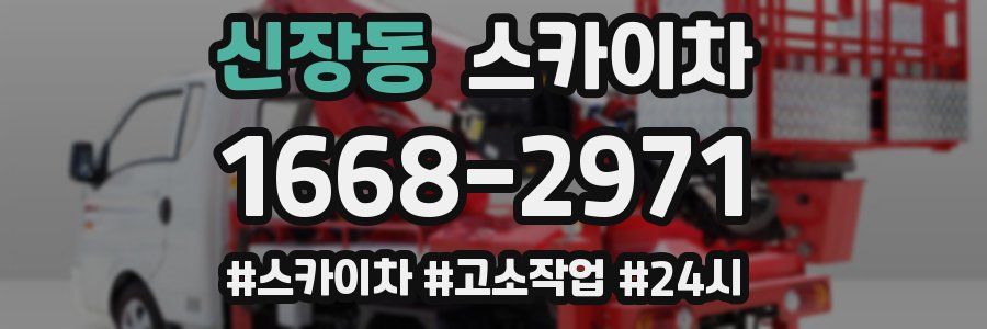 신장동 스카이차