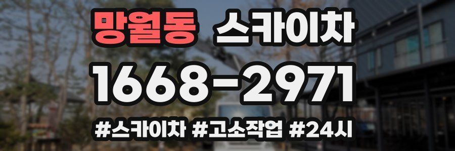 망월동 스카이차