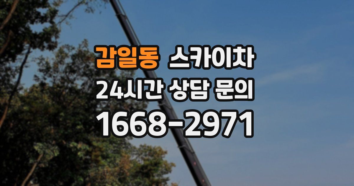 감일동 스카이차